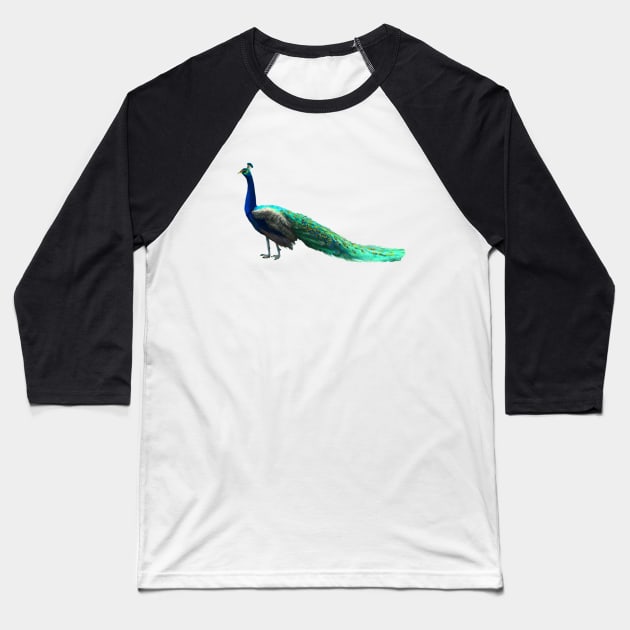 Peacock Baseball T-Shirt by PeggyNovak